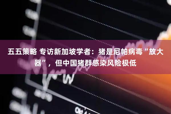 五五策略 专访新加坡学者：猪是尼帕病毒“放大器”，但中国猪群感染风险极低