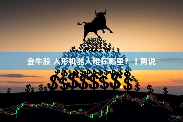 金牛股 人形机器人难在哪里？丨两说
