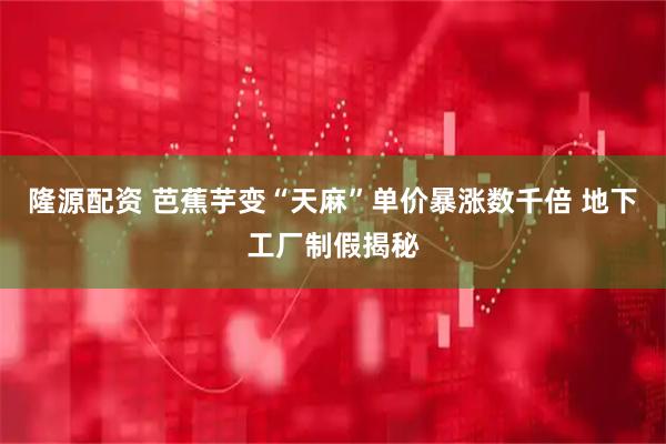 隆源配资 芭蕉芋变“天麻”单价暴涨数千倍 地下工厂制假揭秘
