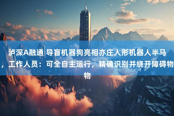 泸深A融通 导盲机器狗亮相亦庄人形机器人半马，工作人员：可全自主运行，精确识别并绕开障碍物