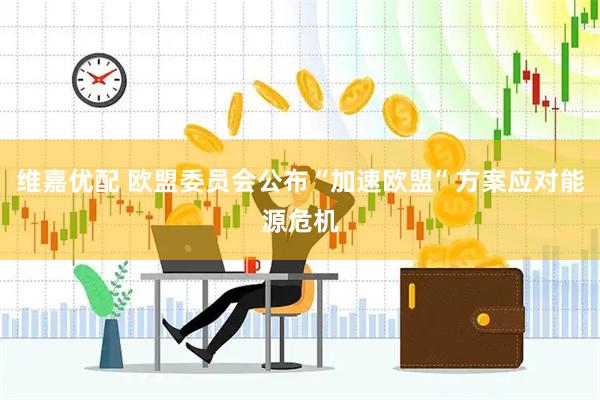 维嘉优配 欧盟委员会公布“加速欧盟”方案应对能源危机