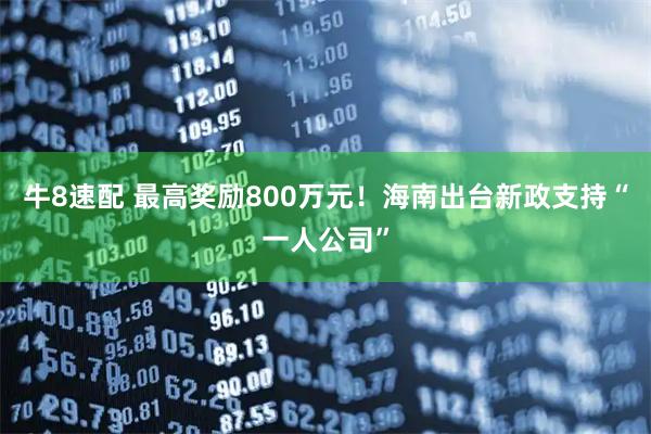 牛8速配 最高奖励800万元！海南出台新政支持“一人公司”