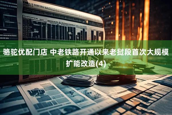 骆驼优配门店 中老铁路开通以来老挝段首次大规模扩能改造(4)