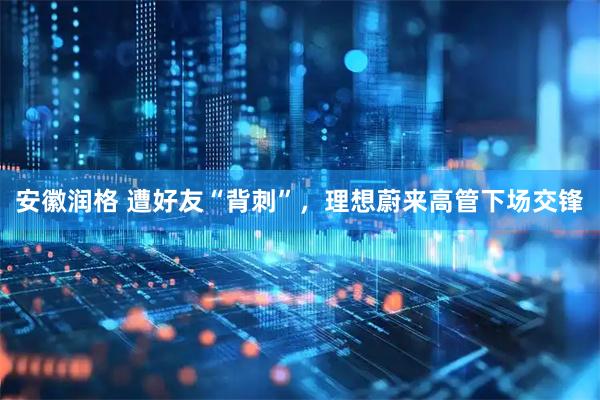 安徽润格 遭好友“背刺”，理想蔚来高管下场交锋