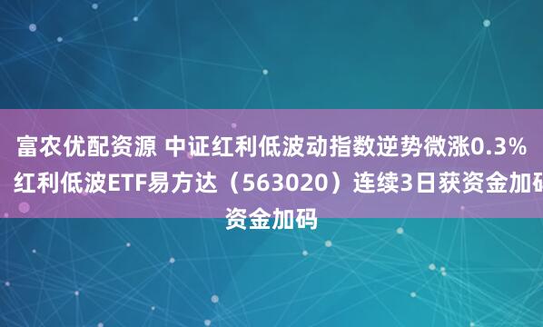 富农优配资源 中证红利低波动指数逆势微涨0.3%，红利低波ETF易方达（563020）连续3日获资金加码